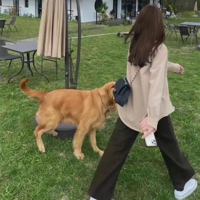 热血高校第二季